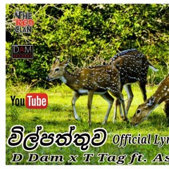 Wilpaththuwa (විල්පත්තුව) - D Dam , T Tag ft Asanka . (Sinhala Rap)
