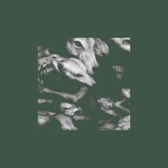 Lex Villena - Two Dogs