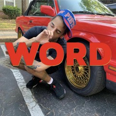 Fleacoo - WORD