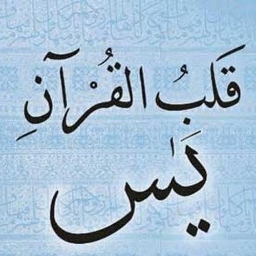 سورة يس - ناصر القطامي