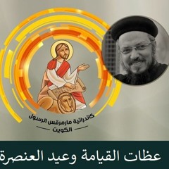 عيد العنصرة - عيد حلول الروح القدس -  ابونا داود لمعي