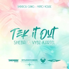 Vybz Kartel x Sheba -  Take It Out (Remix)