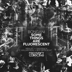 PREMIERE: Bongani - Some Things Are Fluorescent (Original Mix) [Recovery Collective]