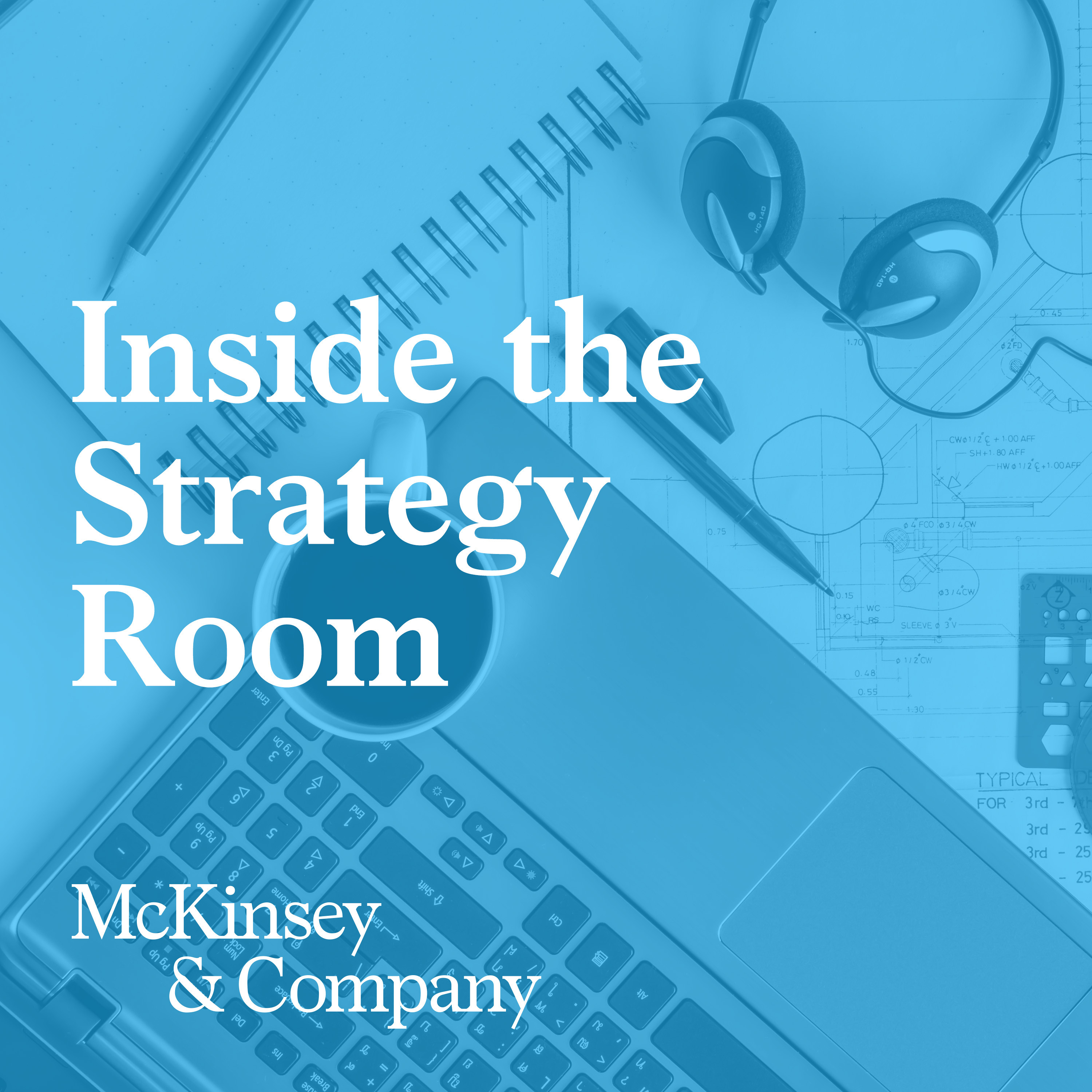 The pros and cons of activist investors episode artwork
