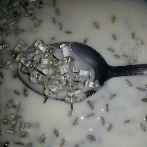 바보 SHITHEAD