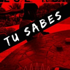 GEMEOS - TU SABES[1]