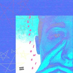 HazyVanz X Quentin Tarallino- DHead Flowers intro