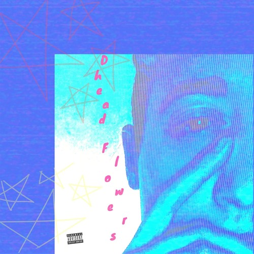 HazyVanz X Quentin Tarallino- DHead Flowers intro
