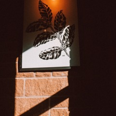 Still Life - The Glass Man (Edit)