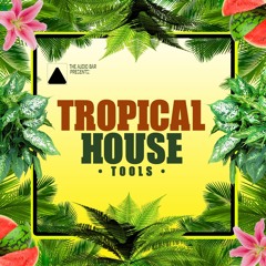Tropical House Tools [SAMPLEPACK]