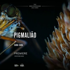 PREMIERE: Pigmalião - Cara Cara (Original Mix) [Serenades]