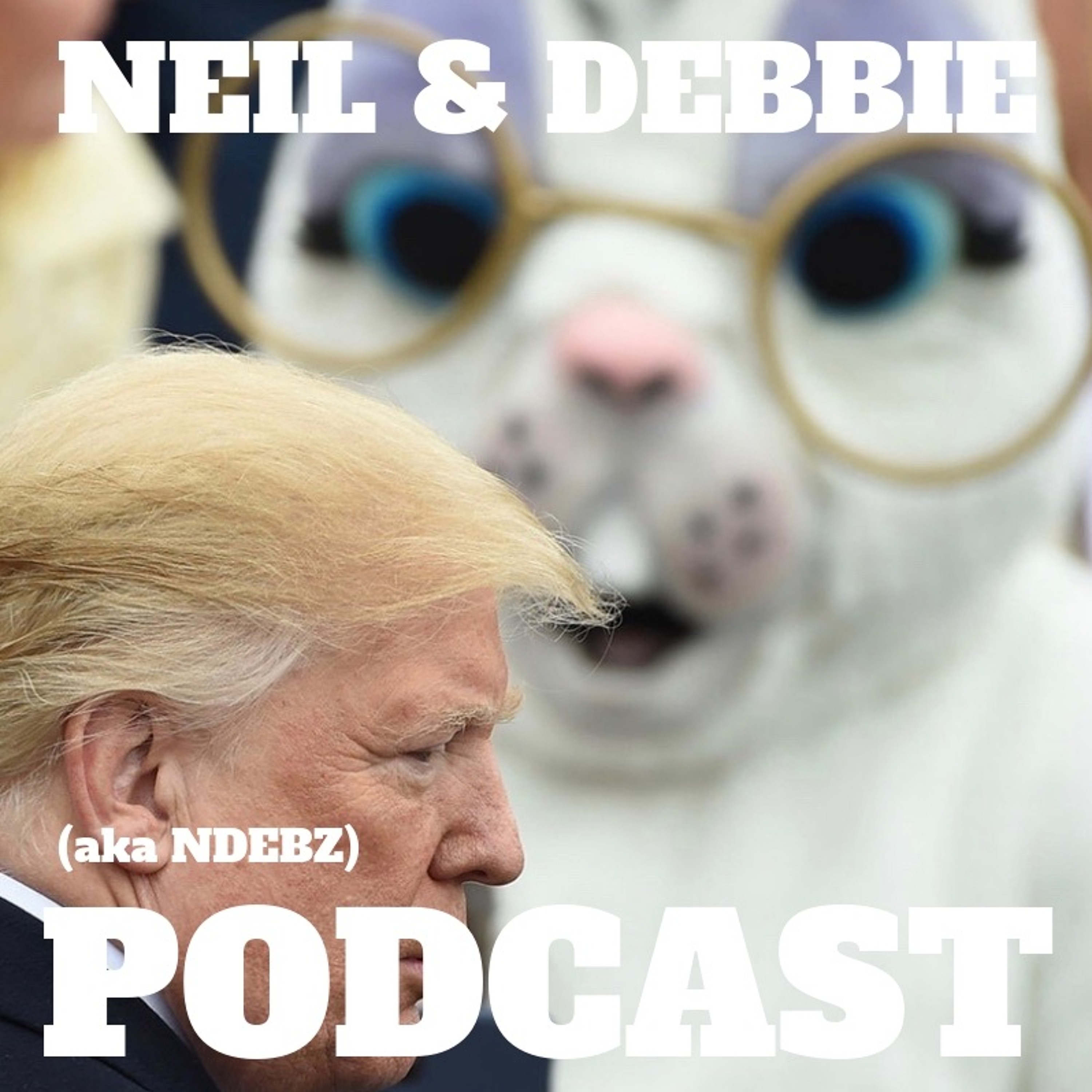 Neil & Debbie (aka NDEBZ)