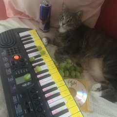 Why Did You Tell All Those Lies