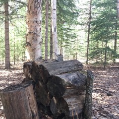 30 April - “Please, Sir,...May I Have Another?”