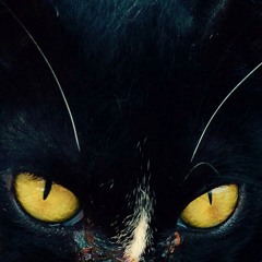 DARK (MAY 2019) WEEK 01