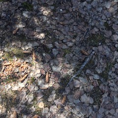 30 April - “We Take A Gamble With The Ideas We Develop”