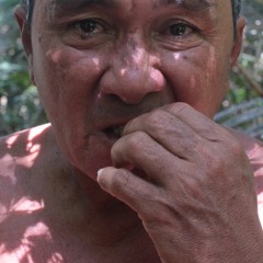 Carnets D'Amazonie - Le Brésil De Pito