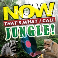 DJIMM - NOW THAT'S WHAT I CALL JUNGLE!