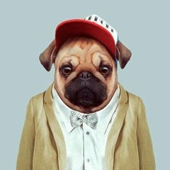 Thug Pug