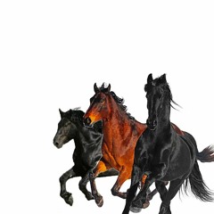 Old Town Road- Lil Nas X, Billy Ray Cyrus (Will C EDM Remix) FREE DL [Support: DjsFromMars, Angemi]