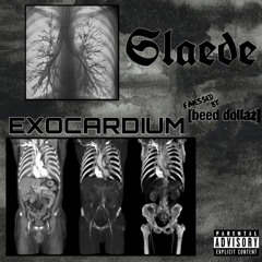 Exocardium [finessed by 1080beed]