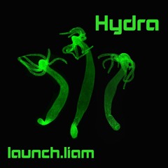 Hydra