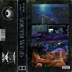 WANDER N DECAY W/ PROTO MIR