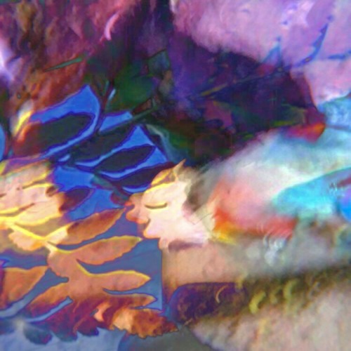 Omnigarden