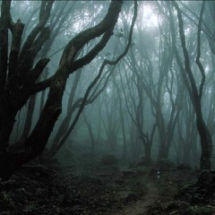 Aokigahara (Sea of Trees)