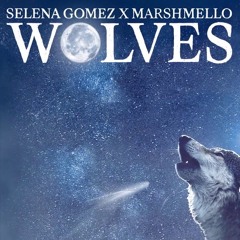 Selena Gomez, Marshmello - Wolves (Z1llaaaa Remix)