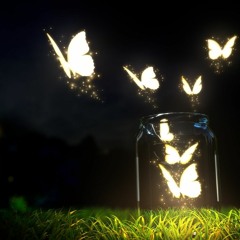 Butterflies in the Night Sky