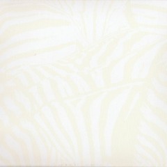 walk in the park (beach house)