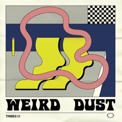 PRÉMIÈRE: Weird Dust - "Solid Tribe 2.1.2" [Crevette Records]