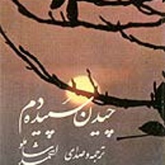 Ahmad Shamloo