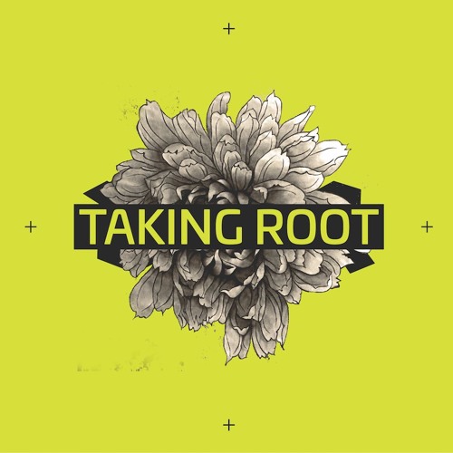 [VARIANCE001] VA - Taking Root (Lag, Vlaysin, Paul Birken, Scenedrone & Axel Sohns) [VINYL]