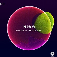 NiQW - Tremors (Original Mix)