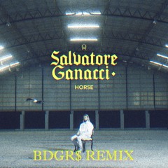 Salvatore Ganacci - Horse (BDGR$ Remix)