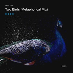Saiful Idris - Two Birds (Metaphorical Mix) [SRNDR190001]