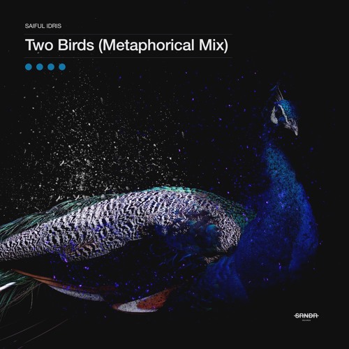 Saiful Idris - Two Birds (Metaphorical Mix) [SRNDR190001]