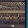 Jeremy Zucker, Chelsea Cutler - you were good to me (Dreamtime Remix)