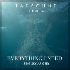 Everything I Need Feat Skylar Grey  (TadSound Remix)