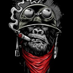 MEGA PROIBIDAO PRA TROPA DO GURILAO (DJ DO GURILÃO)