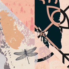 A1 Roman Rai - Nature and Silence (Original Mix) - Snippet