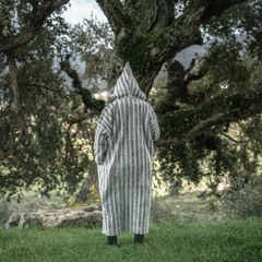 The National- Pink Rabbits