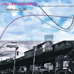 "You are night birds" -  Nebula Sash -  (original mix)