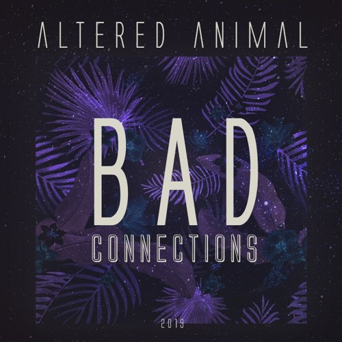 3. A New Place (Bad Connections)