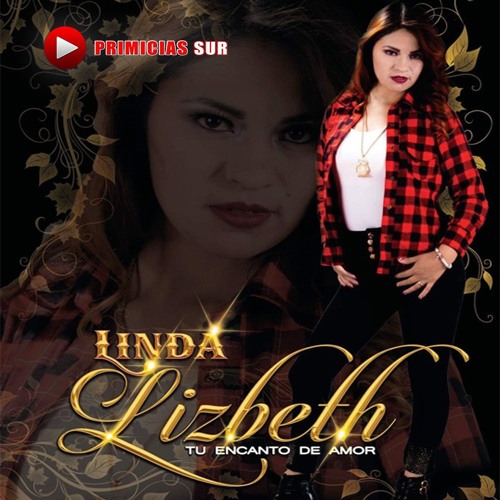 Stream Linda Lizbeth - Hemos Terminado ( Audio Oficial 2019 ) PRIMICIAS SUR  by PRIMICIAS SUR | Listen online for free on SoundCloud