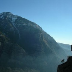 Just the Way You Are