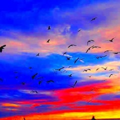 Want You To Fly - J. Cole Remix