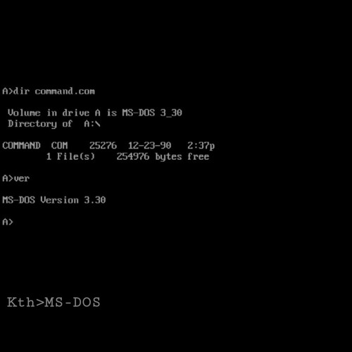 MS DOS